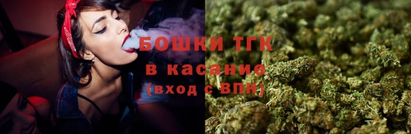 apvp Алексин