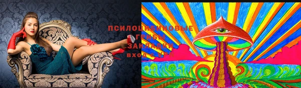 индика Алексеевка